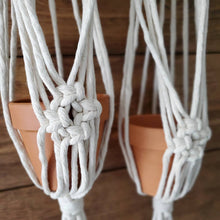 Load image into Gallery viewer, Double Sylvia