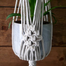 Load image into Gallery viewer, Sylvia