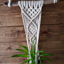 Load image into Gallery viewer, Sylvia