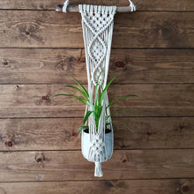 Load image into Gallery viewer, Sylvia