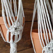 Load image into Gallery viewer, Triple Sylvia