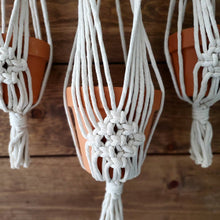 Load image into Gallery viewer, Triple Sylvia