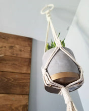 Load image into Gallery viewer, Twister