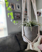 Load image into Gallery viewer, #plantlife Gift Set