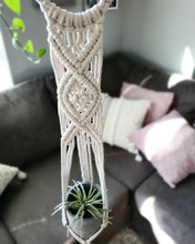 Load image into Gallery viewer, #plantlife Gift Set