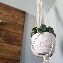 Load image into Gallery viewer, The Split